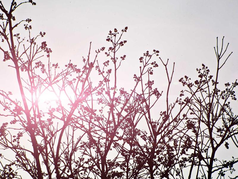 sudoku grid completion screenshot 1