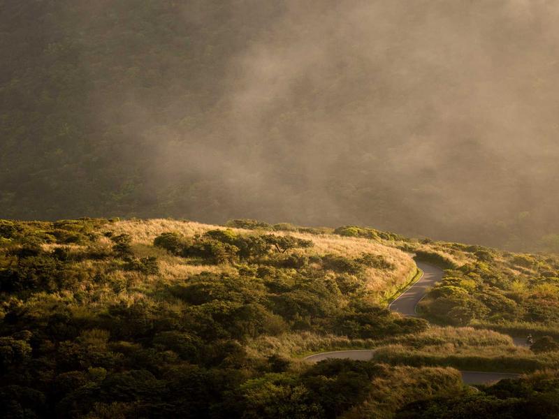 sudoku grid completion